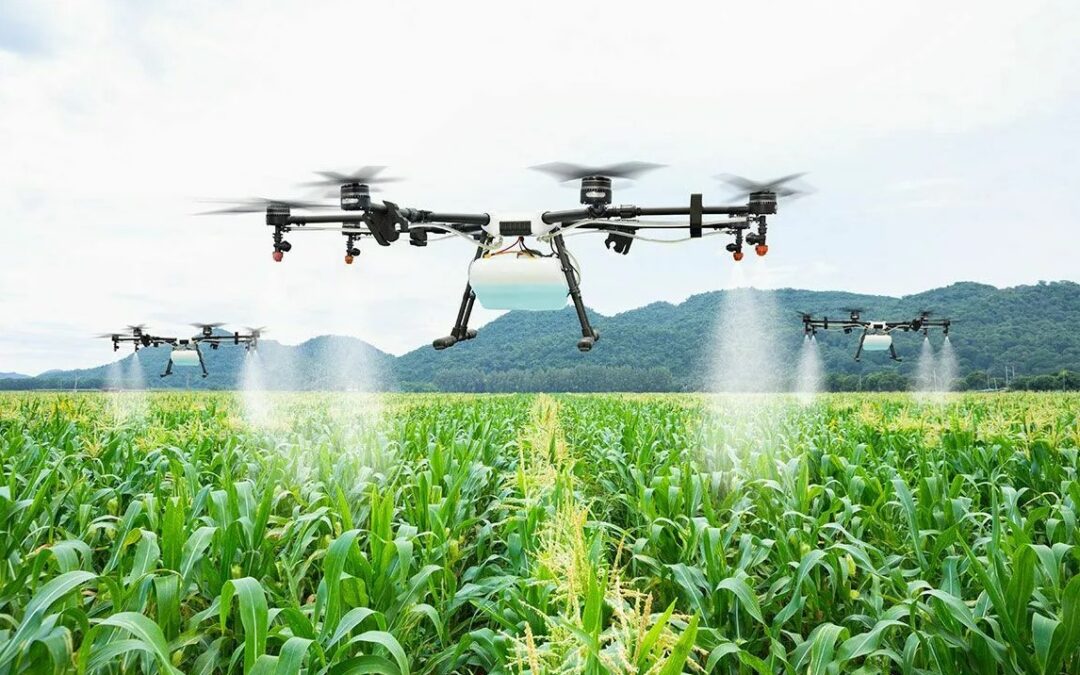 Фермеры: «Запрет на использование агродронов может привести к потере урожая»